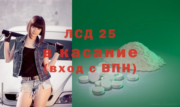 индика Бугульма