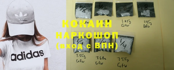 индика Бугульма