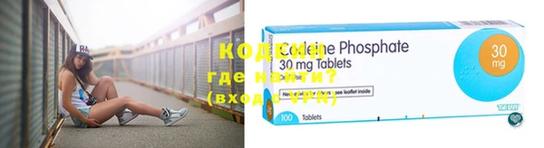 индика Бугульма