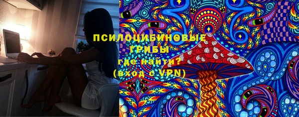 ГАЛЛЮЦИНОГЕННЫЕ ГРИБЫ Бронницы