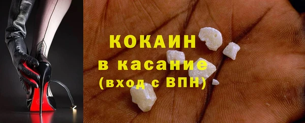 индика Бугульма