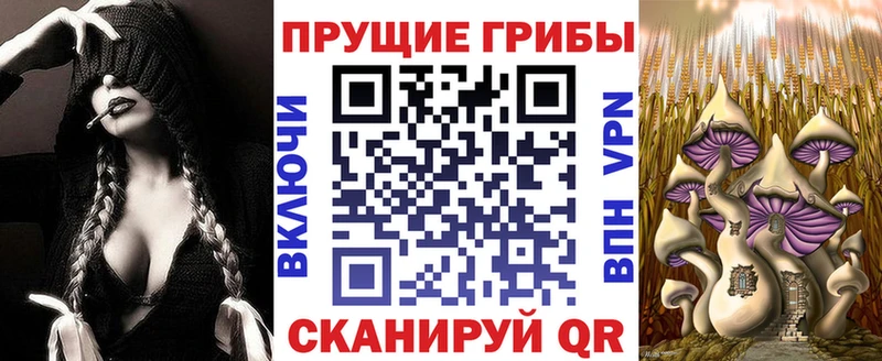 Галлюциногенные грибы мицелий Санкт-Петербург